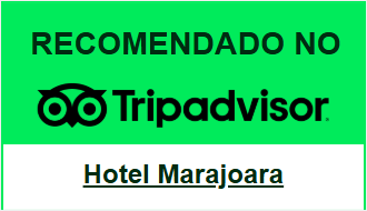 Captura-de-tela-2026-03-05-225053.png
