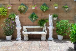 Estacionamento-cachorros-a.webp